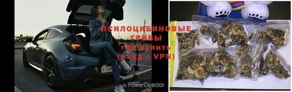 кокаин Горнозаводск
