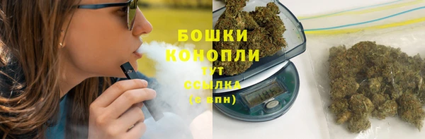 СК Горняк