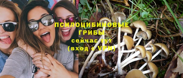 трава Вяземский