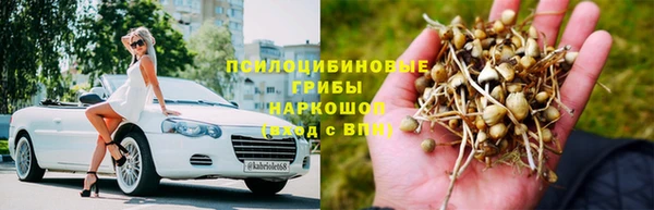 СК Горняк