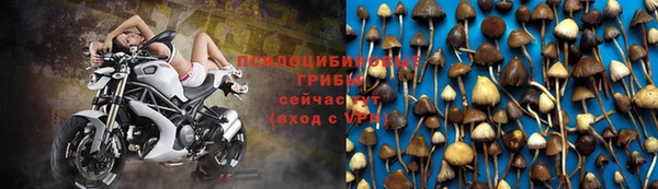 СК Горняк