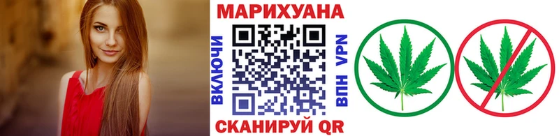 Купить  Красный Кут  Конопля планчик 